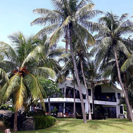 La Maison De La Plage - Guest House Albion Exterior foto