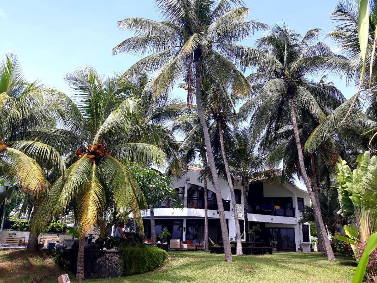 La Maison De La Plage - Guest House Albion Exterior foto